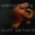 Bluff, partner