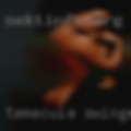 Temecula swingers adult
