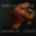 Wanderer cheating story